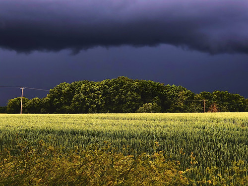 herts uk rural pastoral clouds ominous contrast desimage desgould kingslangley chipperfield layers hedge field crops tress storm light elitegalleryaoi bestcapturesaoi aoi