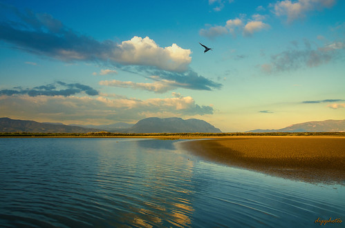 bird lagoon landscape messolonghi greece sky afternoon colors blue sunlight beach clouds