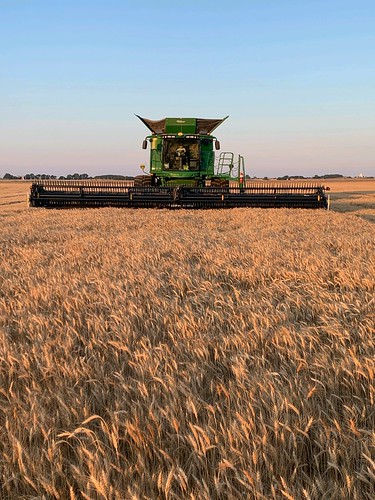 Schemper Harvesting