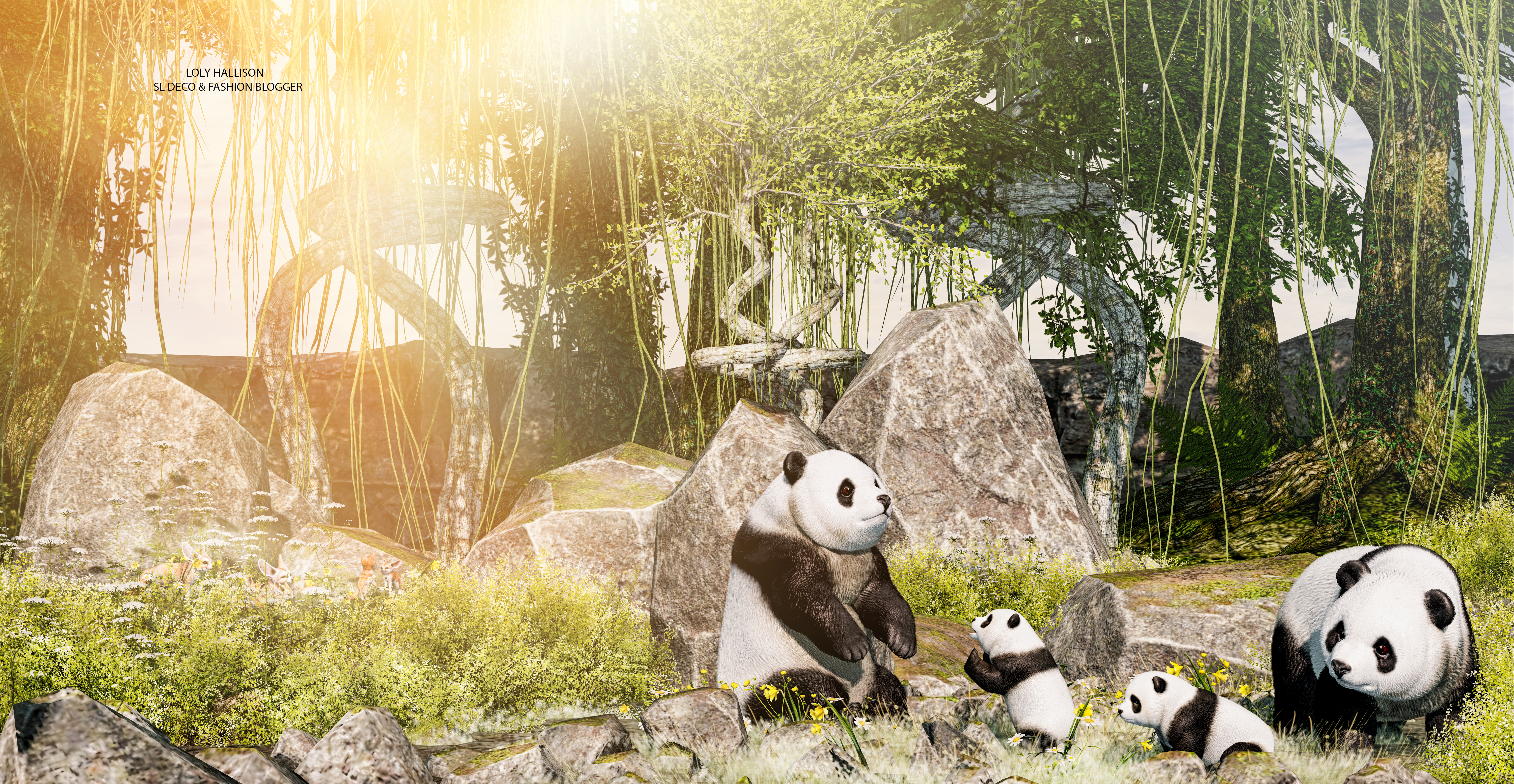 A cute Panda family