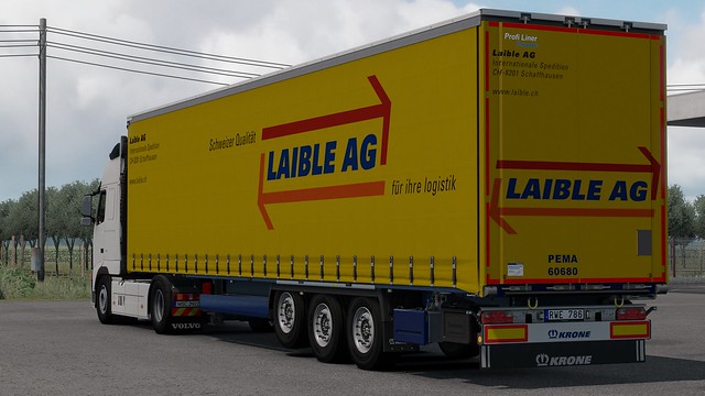 Volvo FH 460 - Laible AG