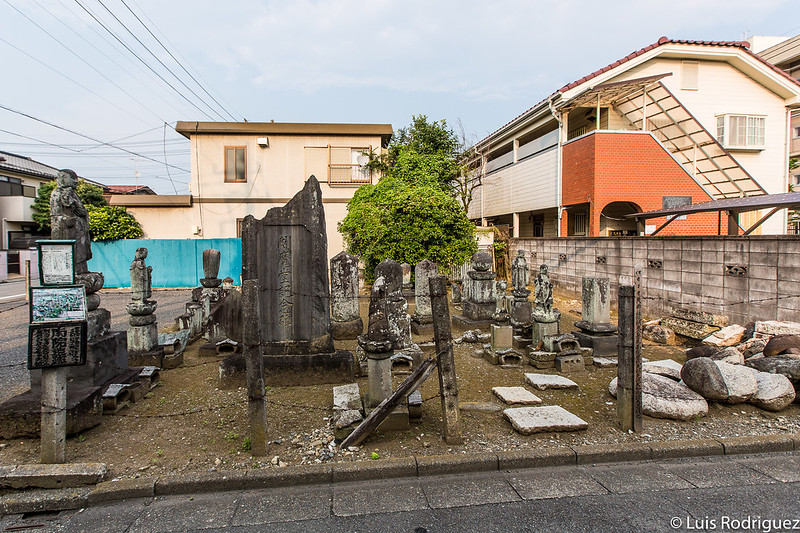 Restos del templo Minami-in