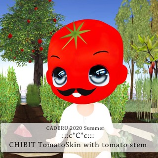 :::c*C*c:::tomatoSkin