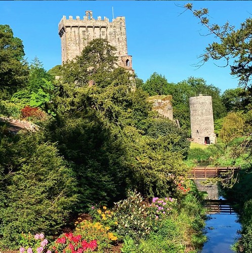 Georgina Ingham | Culinary Travels A Guide to Cork, Ireland. Blarney Castle and Gardens - only a short journey outside the city and you'll find an oasis of calm, packed with Irish history, take a stroll around the beautiful gardens or be brave and head to kiss the Blarney Stone - will it give you the gift the gab?