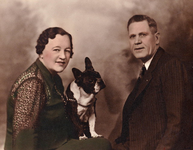 Family Portrait with Boston Terrier