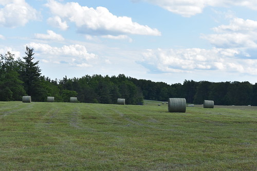 hay farming rural agriculture blueridgeparkway scenicview pinespuroverlook
