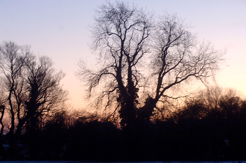 christmas day winter sunset with snow trees scawby north lincolnshire