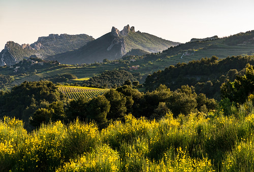france spring crestet landscape peak vaucluse flowersplants limestone valley ventoux dentelles yellow provence mountain malaucène provencealpescôtedazur