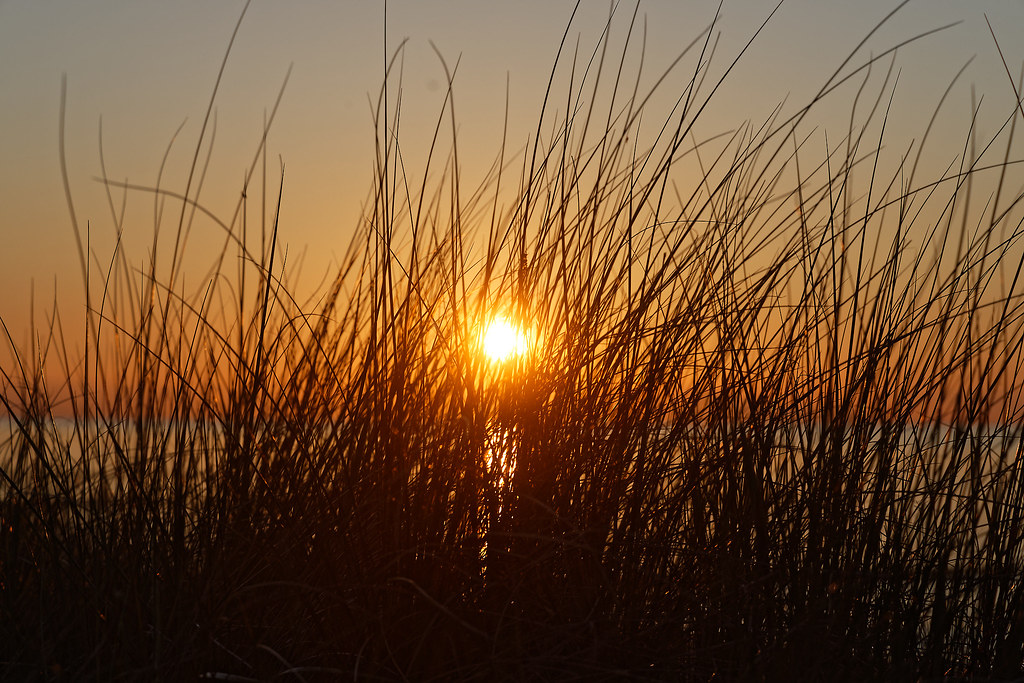Am Strand in Zingst | Sonnenuntergang am Strand | Rolf Majewski | Flickr