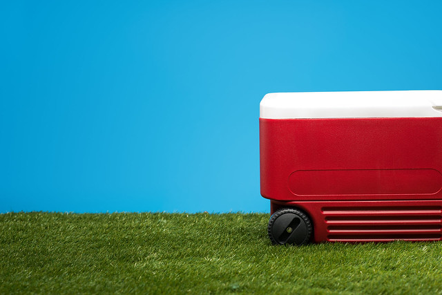 Grass lawn with a red ice chest