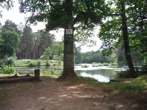 Stockbridge Pond (Private Fishing) SWC Walk 184 - Bentley to Farnham