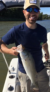 Photo of man with a striped bass in the lower Choptank River