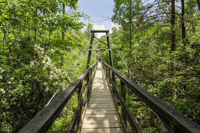 Swinging Bridge - Southern Appalachian Trail