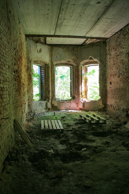Усадьба Никольское-Прозоровское, руины усадебного дома