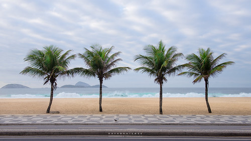 brazil riodejaneiro ipanema leblon palmtrees beach sand waves praia sky sunrise outdoors morning carioca landscape