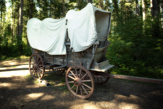 Covered Wagon _0977