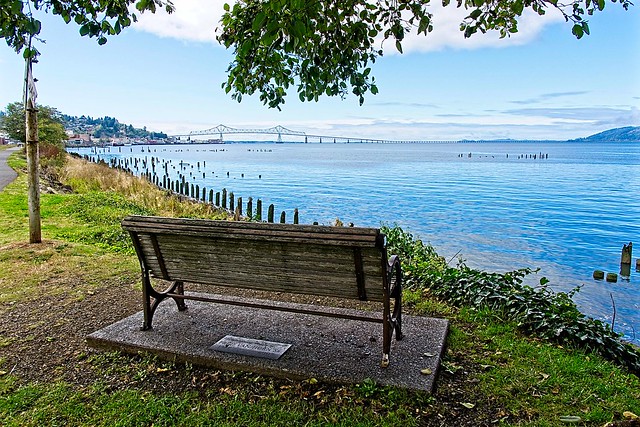 A Bench With a View
