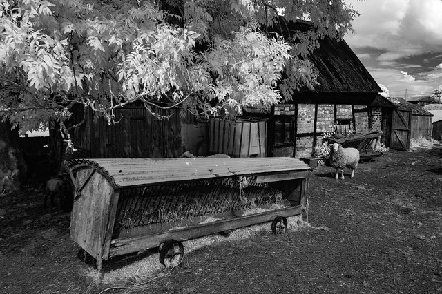 Old Farm Building Infrared