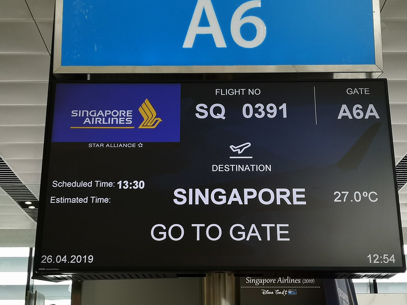 2019 Singapore Airlines Flight