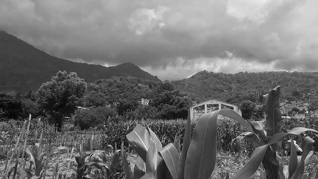 Looks like rain. San Pedro la Laguna, Guatemala. 19/6/2020. . . . . #travel #SanPedrolaLaguna #guatemala #digitalnomad #lakeatitlan #lagoatitlan #rain #lluvia