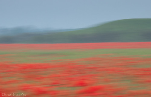 davidsnowdonphotography landscape icm abstract abstractreality naturalabstract poppies field