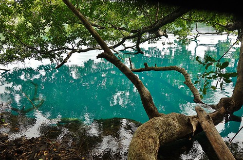 Mexico, Lagune von Bacalar , Cenote Azul,  19831/12774