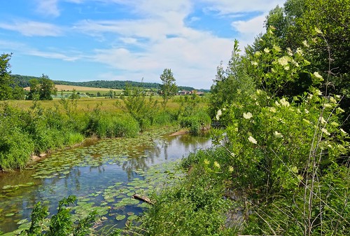 fluss river nidder konradsdorf naturschutzgebiet