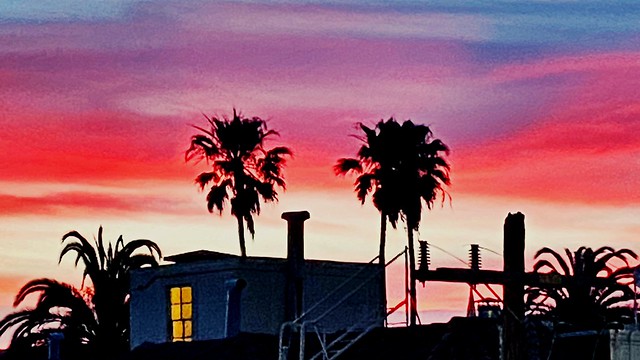 “Tropical” San Francisco Sunset Closeup