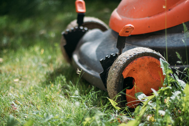 Lawn mower up close