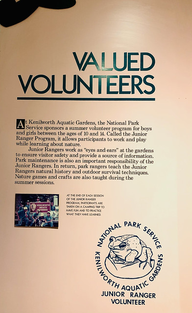 Valued Volunteers