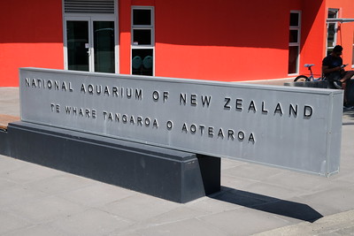 32-218 National Aquarium Napier