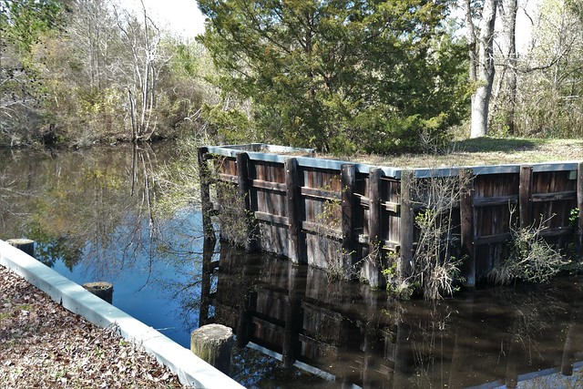 Dismal Swamp Canal Trail Chesapeake VA