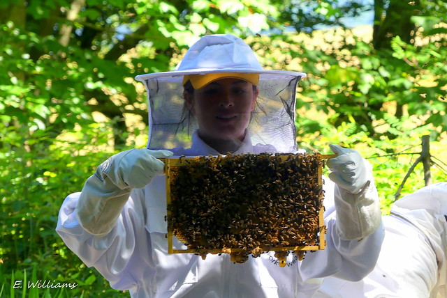 Beekeepers on Great Cumbrae