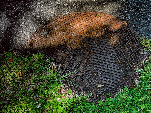 Storm sewer cover