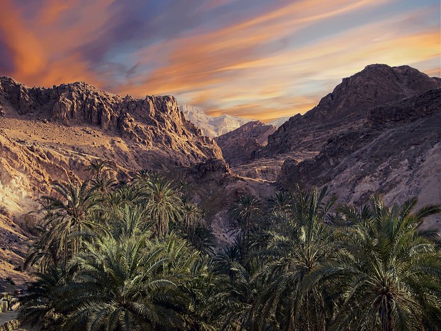 Dawn in the Tunisians mountains