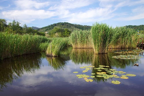 lake reflections clouds landscape panorama paesaggio nature hill waterlily sonyalpha68 ilca68 outdoor swamp sky versilia toscana