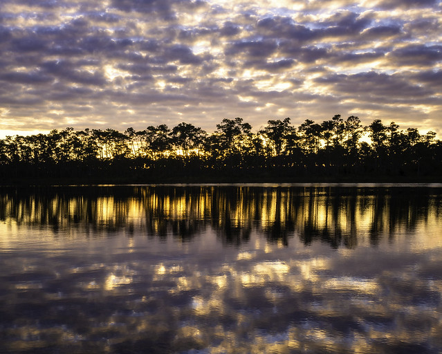 Sunrise Reflection - Everglades National Park