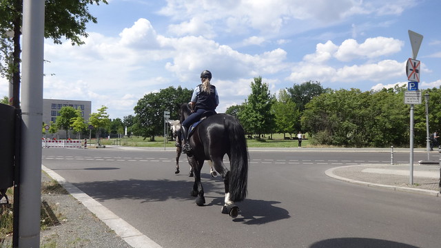 Berittene (weibliche) Berliner Bundespolizei auf einem Irischen Zugpferd (Irish Draught Horse/hier fast unsichtbar) und auf Schwerem Sächsischem Warmblut Otto-von-Bismarck-Allee in 10557 Berlin