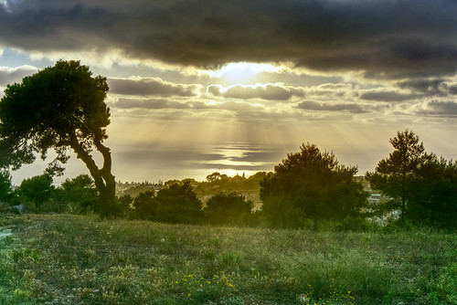 israel haifa sun sunset mount carmel nationalpark sea