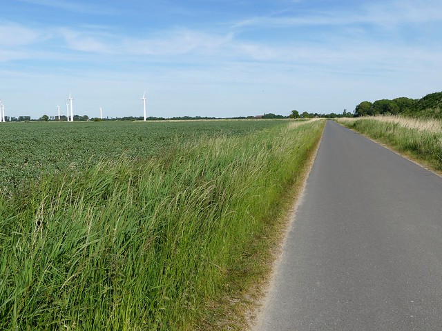 Naturschutzgebiet bei Bremerhaven