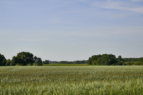 landscape brandenburg town agriculture field crops summer