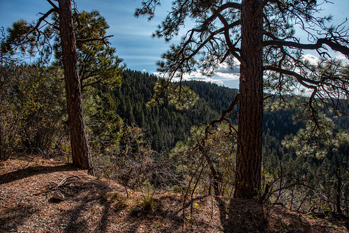 trail cloudcroft new mexico hiking nature natural west western southwest usa unitedstatesofamerica