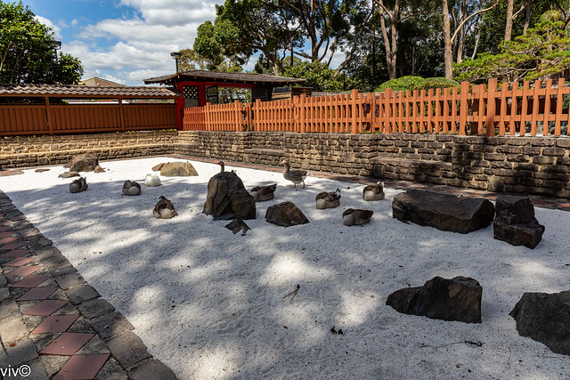 Gate crashers at Japanese Garden, Auburn, Sydney, New South Wales,  Australia
