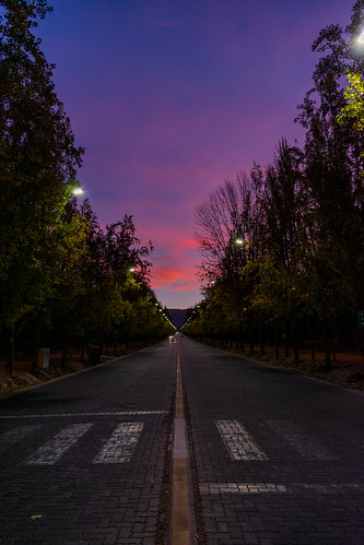 sunset atardecer nikond3500 nikonar nikon mendoza argentina photography photooftheday lightroom photograph
