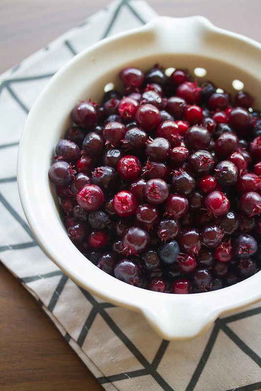 Bowl of Saskatoon Berries