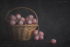 Grapes in the Basket