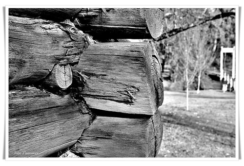 1950s tobacco kiln wood trees logs black white myrtleford victoria panneman nikon d610 australia agriculture farming fx showcase nikonfxshowcase