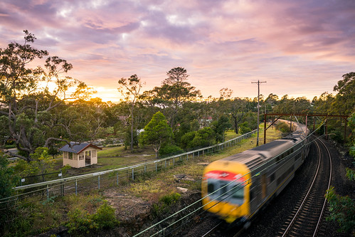 v set nsw trainlink intercity cityrail sydney woodford train railway electric sunrise sunset pink purple skies clouds trees country australia rural plants emu