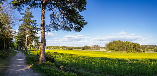 ravattula kaarina varsinaissuomi panoraama panorama pelto field maisema landscape suomi finland europe