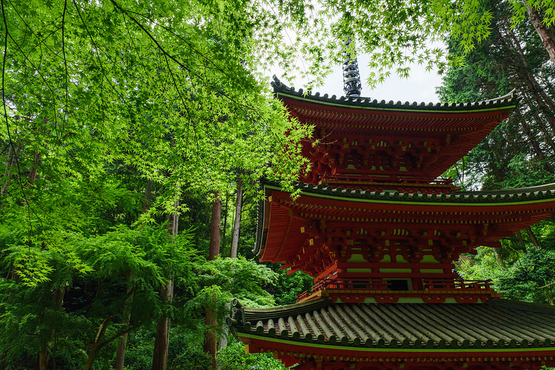岩船寺 (Gansen-ji Temple)